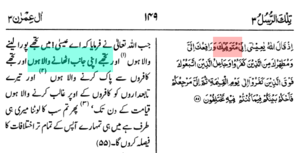 توفی کا چیلنج ۔ انی متوفیک فلما توفیتنی