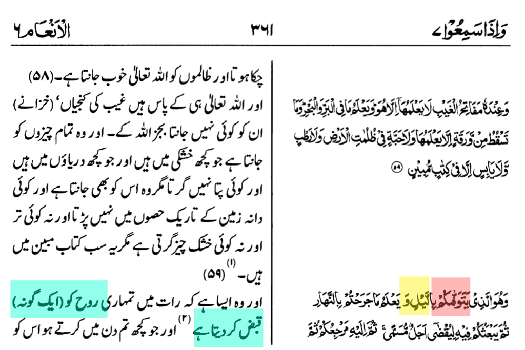 توفی کا چیلنج ۔ انی متوفیک فلما توفیتنی