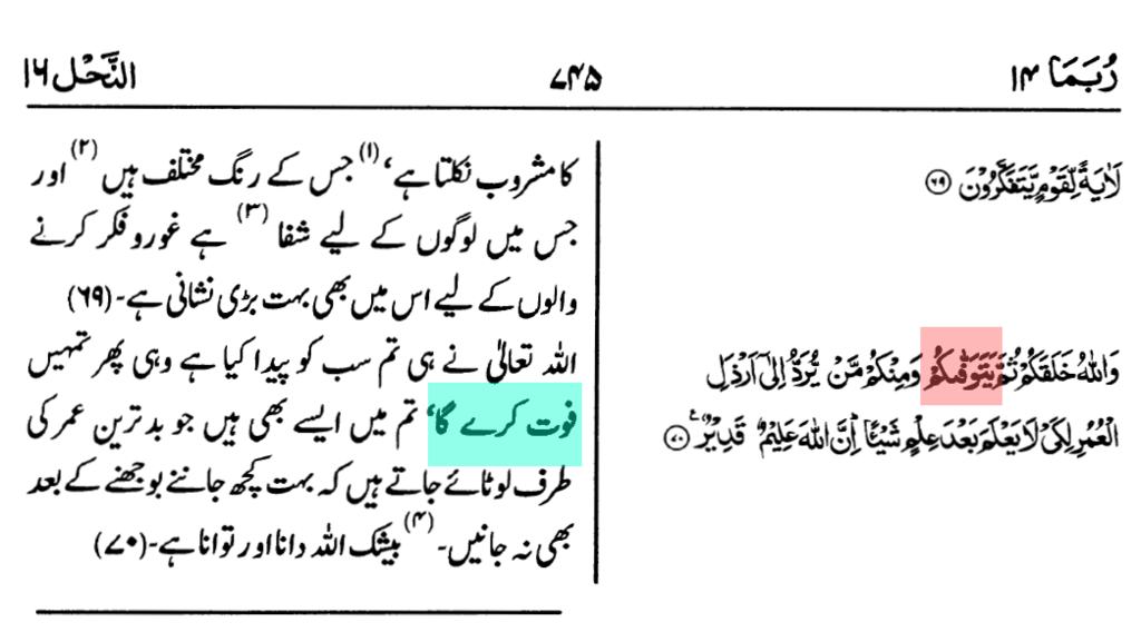 توفی کا چیلنج ۔ انی متوفیک فلما توفیتنی