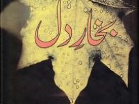 Bukhar-e-Dil_0000