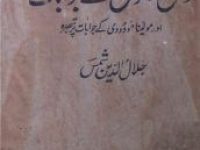 Fasadat-e-Panjab Ki Tahqiqati Adalat Ke Das Sawalon Ke Jwabaat Aur Maulana Maududii Ke Jwabat Par Tabsara_0000