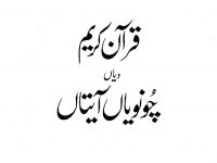 Quran Punjabi_0000