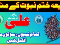 Shia khatme nabuwwat k munkir   ali ra ko sab nabion rasoolon se afzal mante hen aor sab imamon ko b - youtube