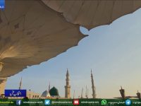 Teaching of real Islam Ahmadiyyat - Watch Share and Subscribe . Thanks - youtube