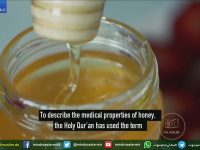 Teaching of real Islam Ahmadiyyat - Watch Share and Subscribe . Thanks - youtube