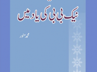 aik-naik-bibi-ki-yad-men-title
