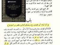 ali-ki-aolad-k-naam-abu-bakar-umar-usman-book-scans-title