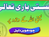 hastie-bari-taala-yani-allah-k-wajood-par-daleel-14-title