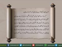 khalifatul maseeh khamis mabhh message to waaqfine nao about choosing a profession - youtube