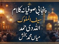 punjabi-sufiana-kalam-mian-muhammad-bakhsh-saiful-mulook-allah-ki-hamd-title
