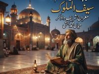 punjabi-sufiana-kalam-mian-muhammad-bakhsh-saiful-mulook-meraj-sharif-title