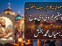 punjabi-sufiana-kalam-mian-muhammad-bakhsh-saiful-mulook-muqeem-hajarvi-title