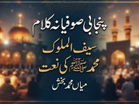 punjabi-sufiana-kalam-mian-muhammad-bakhsh-saiful-mulook-naat-muhammad-pbuh-title