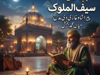 punjabi-sufiana-kalam-mian-muhammad-bakhsh-saiful-mulook-peera-shah-title