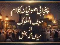 punjabi-sufiana-kalam-mian-muhammad-bakhsh-saiful-mulook-title