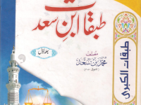 tabqat-ibne-saad-vol-1-tareekhe-islam-waqdi-title