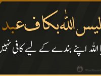 الیس اللہ بکاف عبدہ ۔ کیا اللہ اپنے بندے کے لیے کافی نہیں ؟ - youtube