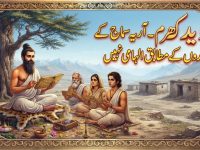 wedik-dharam-arya-samaj-k-meyaron-k-mutabiq-ilahmi-nahin-title